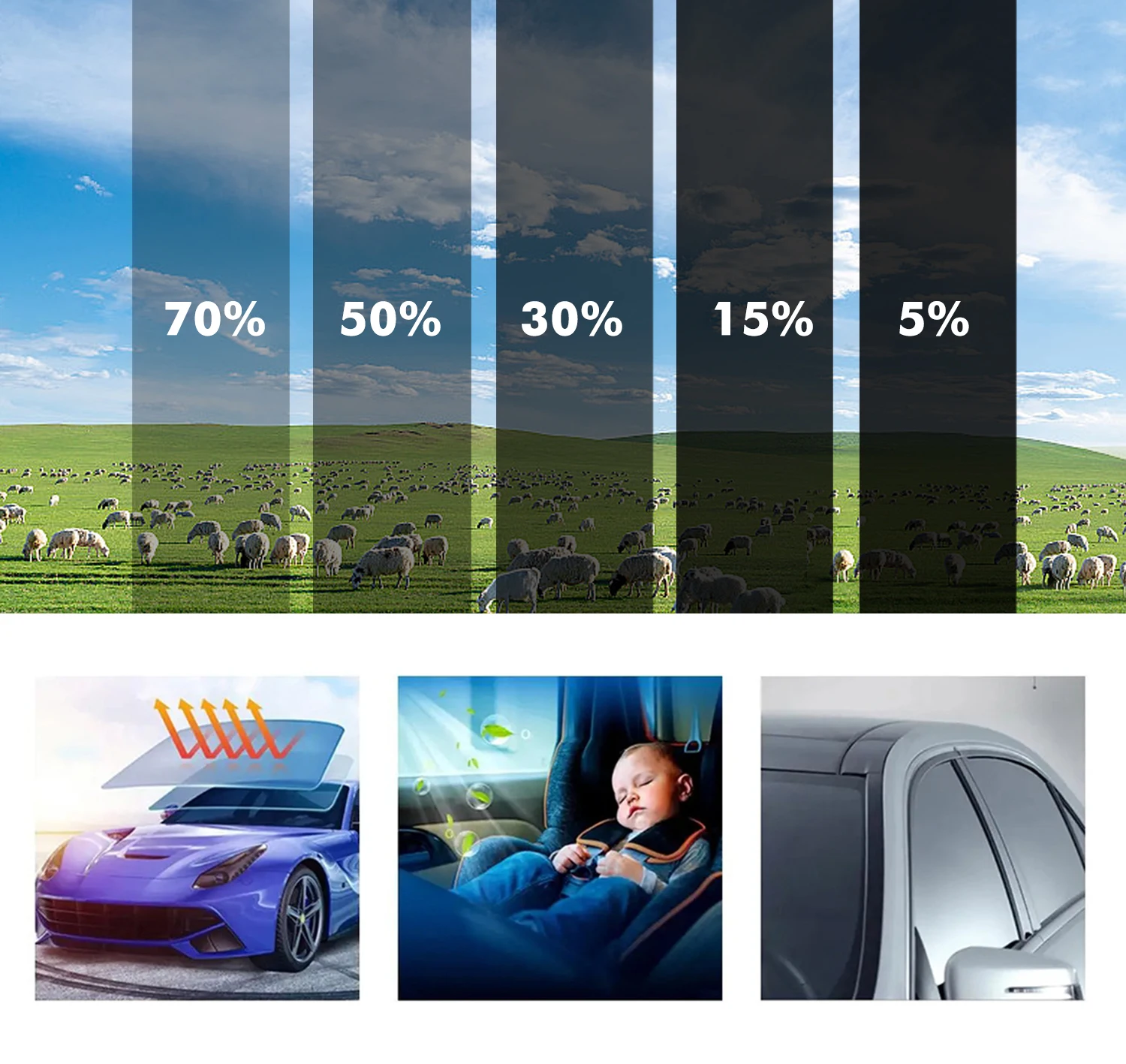 50cmx3m Car Window Privacy Tin – Privacy Screen Protector Bewertung und Preis